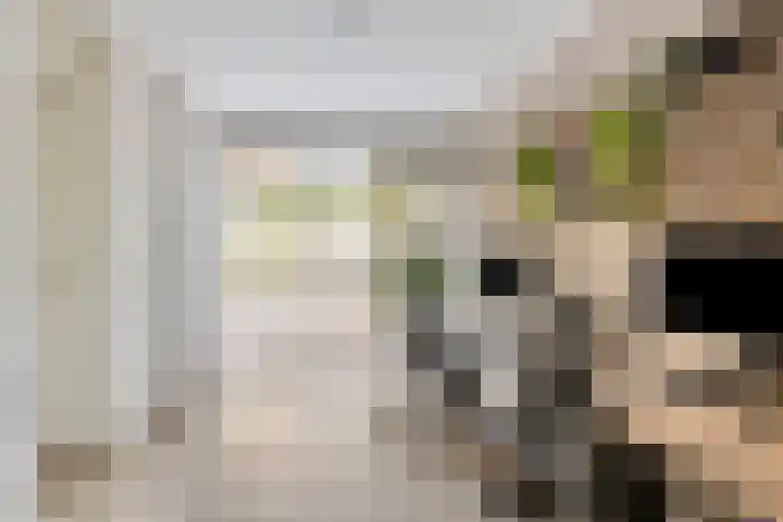 Parkstee 8 Purmerend thumbnail 20