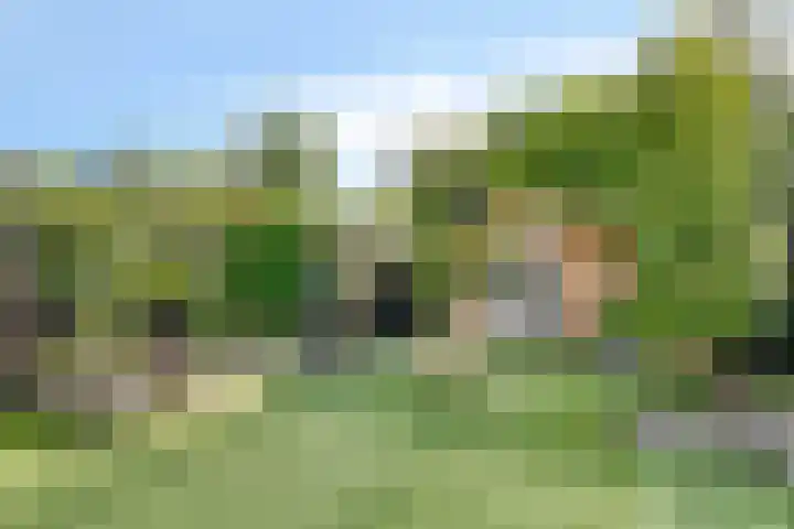 Parkstee 8 Purmerend thumbnail 32