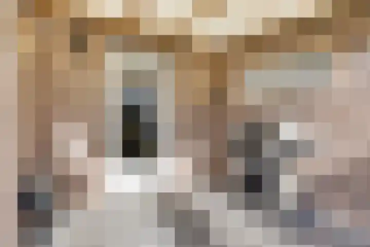 Parkstee 8 Purmerend thumbnail 33