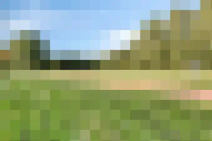 Parkstee 8 Purmerend thumbnail 34
