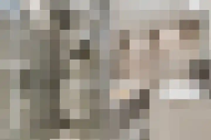 Parkstee 8 Purmerend thumbnail 5