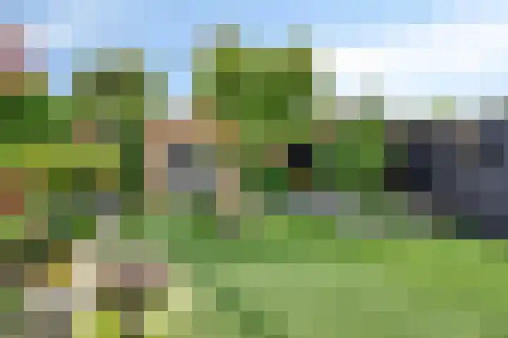 Parkstee 8 Purmerend thumbnail 6