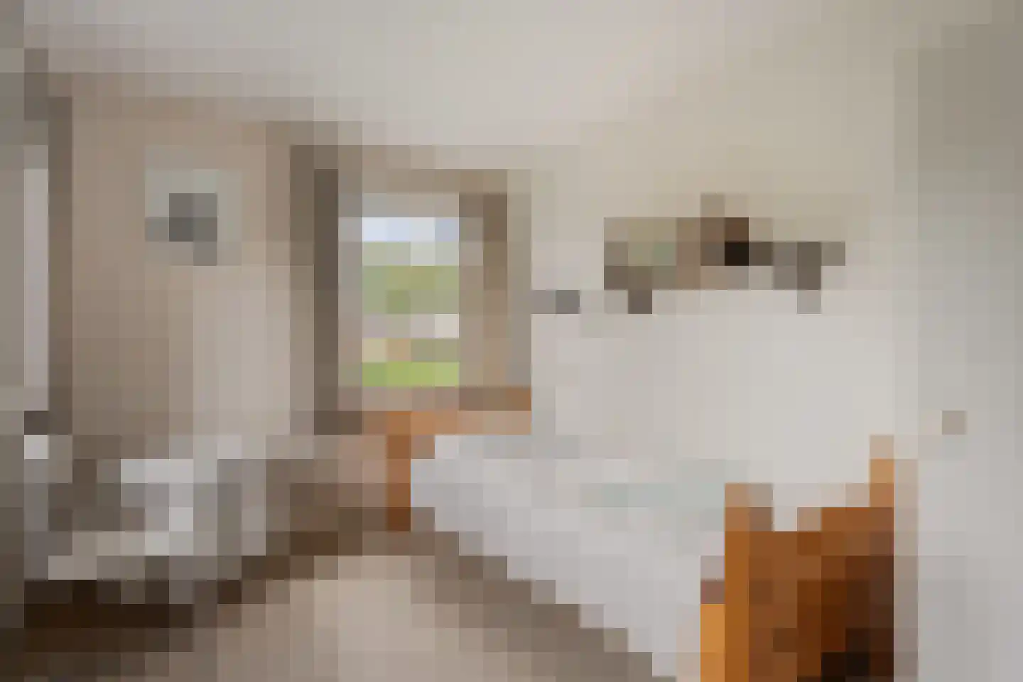 Parkstraat 1 Rijssen thumbnail 30