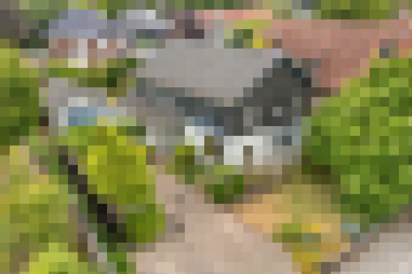 Parkstraat 1 Rijssen thumbnail 5