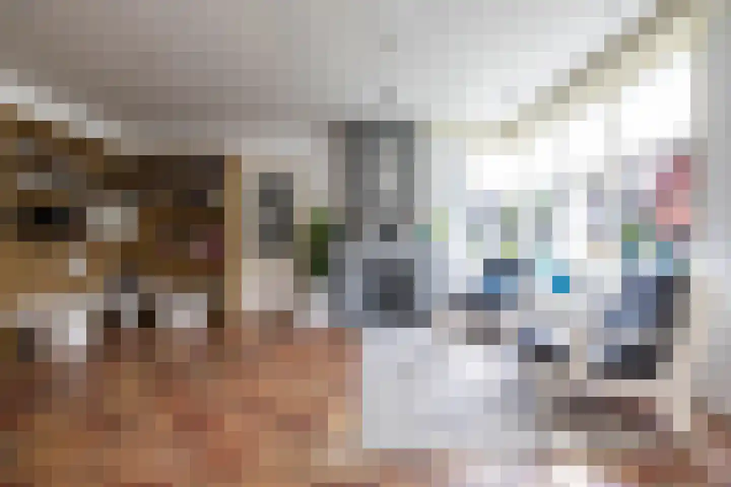Parkstraat 1 Sappemeer thumbnail 15