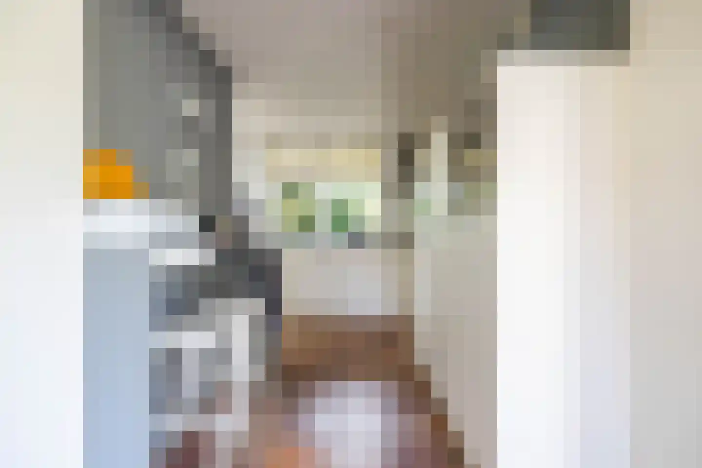 Parkstraat 1 Sappemeer thumbnail 22