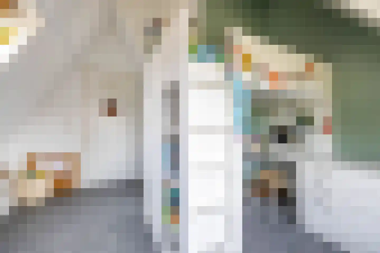 Parkstraat 1 Sappemeer thumbnail 33
