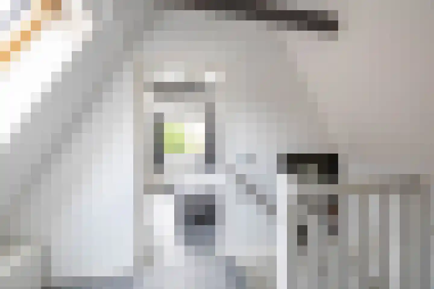 Parkstraat 1 Sappemeer thumbnail 34
