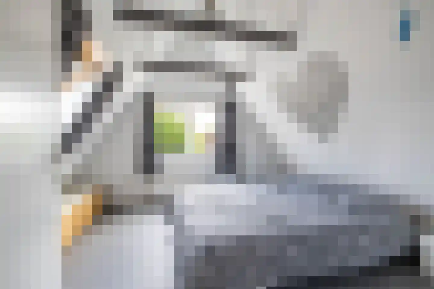 Parkstraat 1 Sappemeer thumbnail 35
