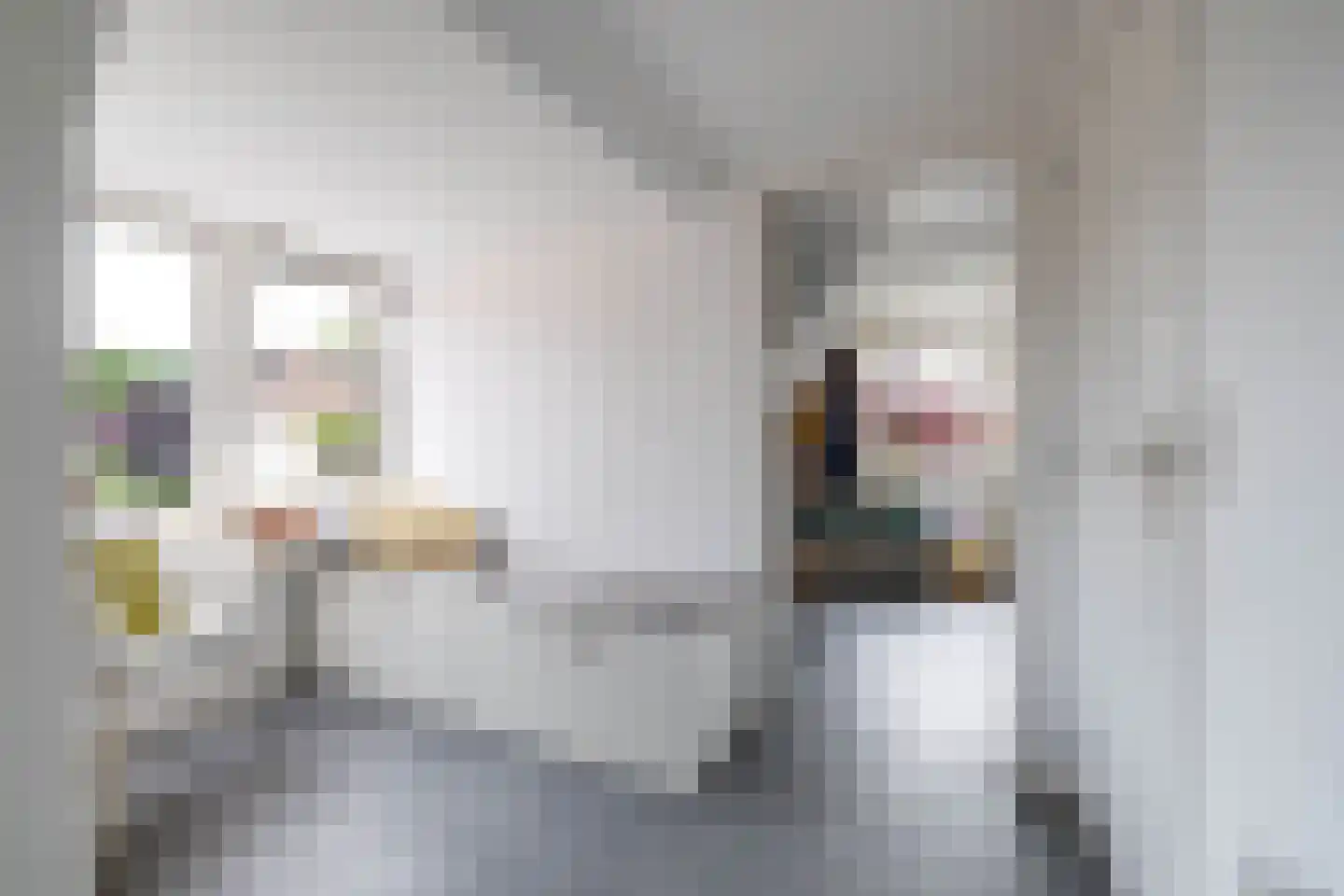 Parkstraat 1 Sappemeer thumbnail 37