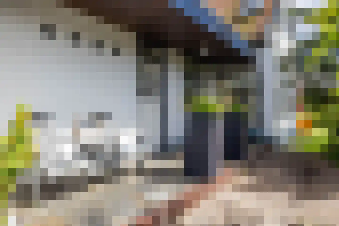 Parkstraat 1 Sappemeer thumbnail 4