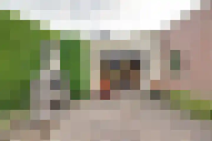 Parkstraat 1 St. Willebrord thumbnail 32