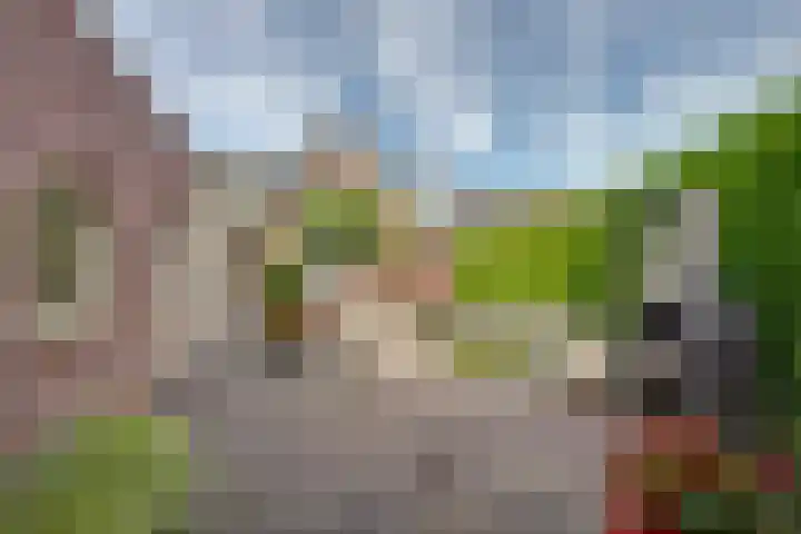 Parkstraat 1 St. Willebrord thumbnail 33