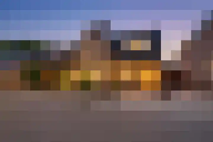 Parkstraat 1 St. Willebrord thumbnail 37