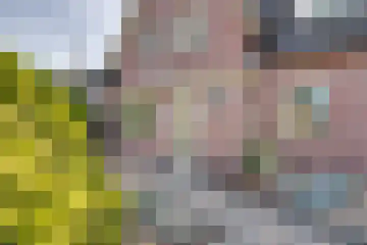 Parkstraat 1 St. Willebrord thumbnail 4