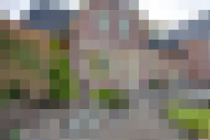 Parkstraat 1 St. Willebrord thumbnail 5