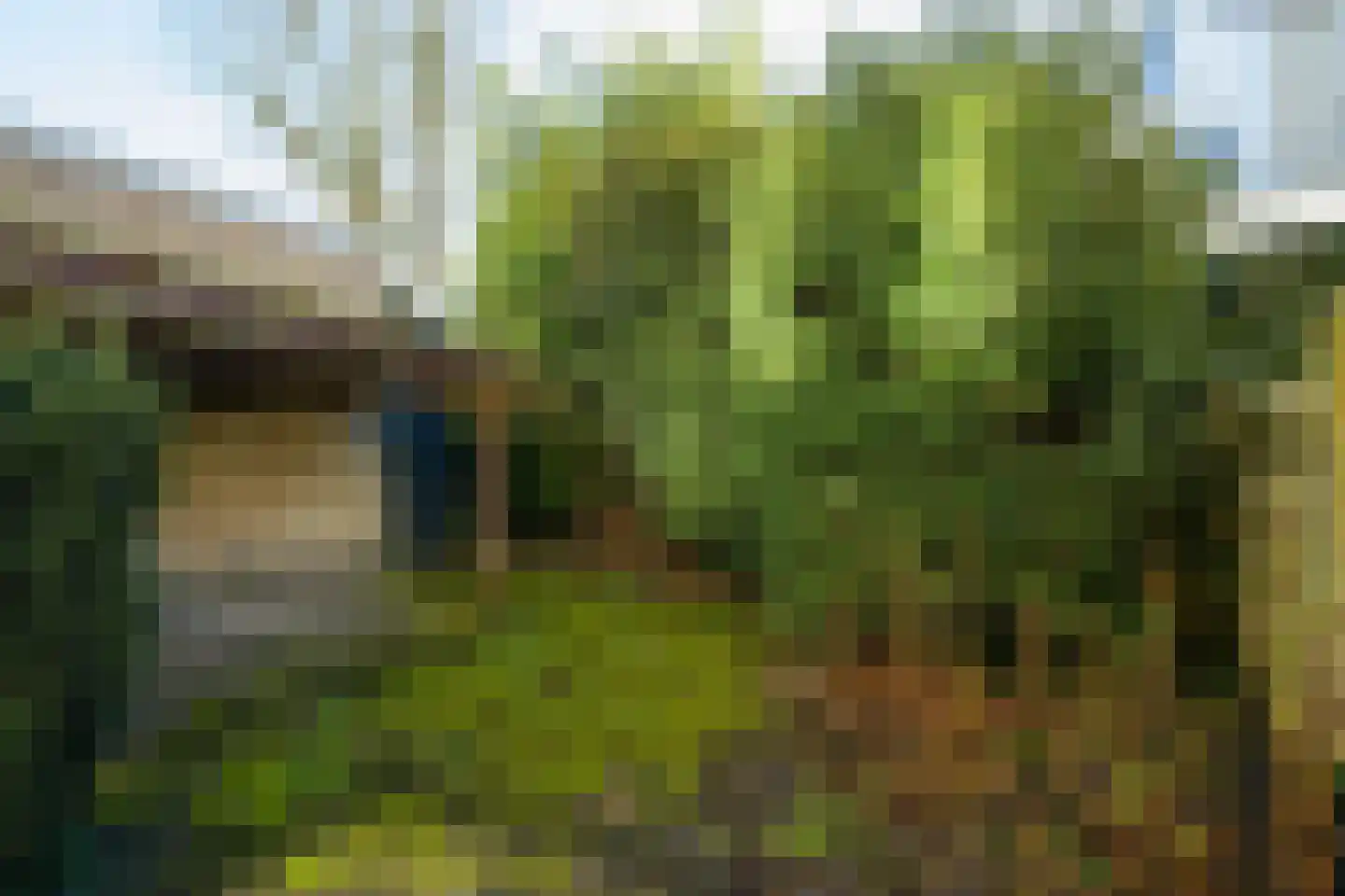 Parkstraat 10 Breda thumbnail 68