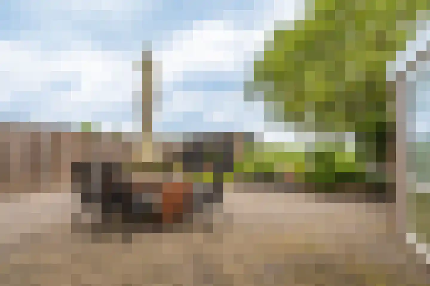 Parkstraat 11 Noordbroek thumbnail 32