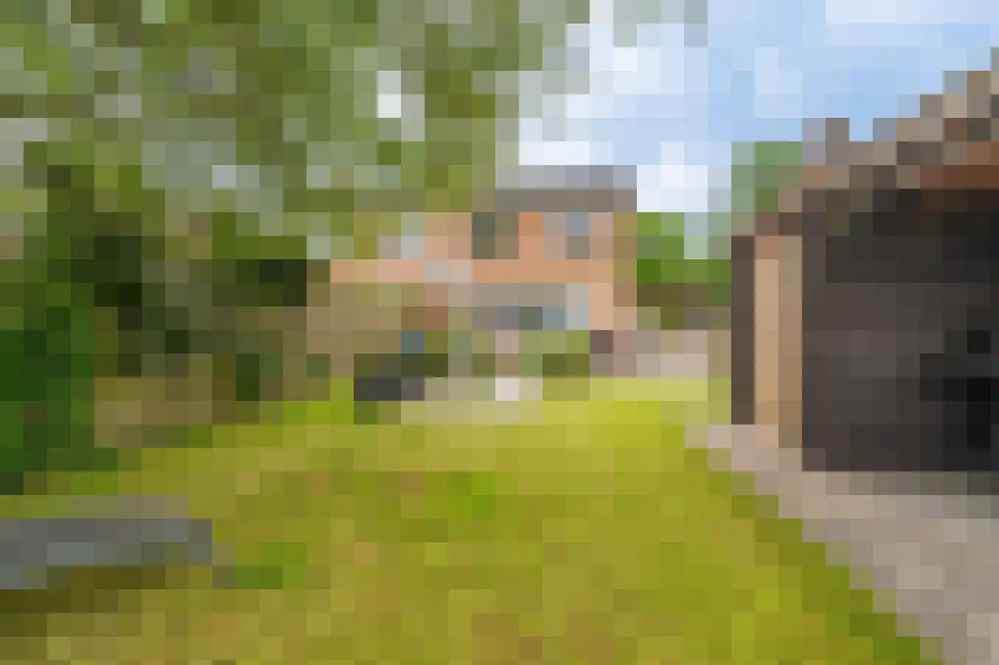 Parkstraat 11 Noordbroek thumbnail 40