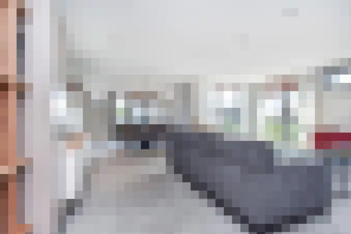 Parkstraat 110 Berkel en Rodenrijs thumbnail 9