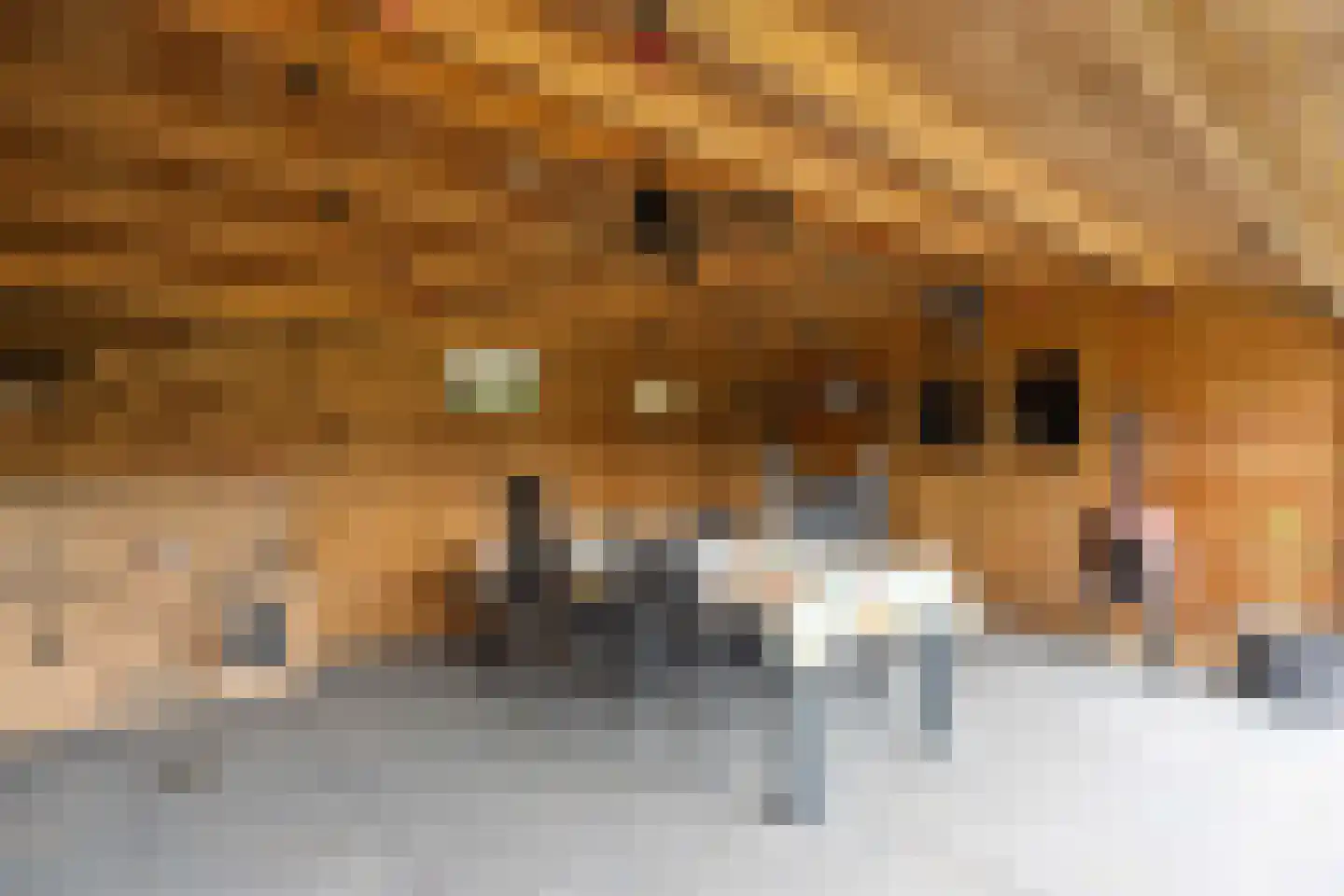 Parkstraat 12 Deurne thumbnail 39