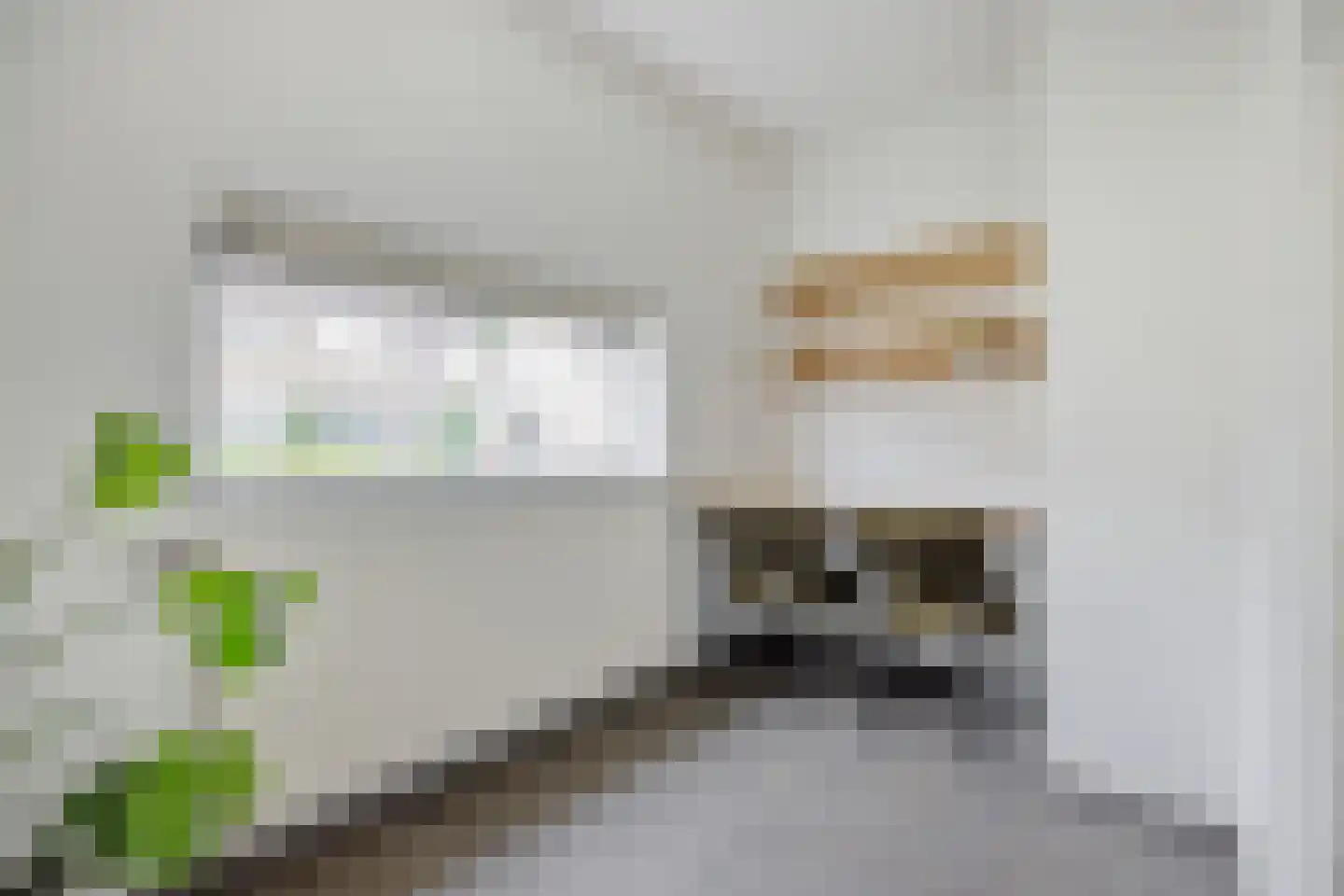 Parkstraat 12 Deurne thumbnail 8