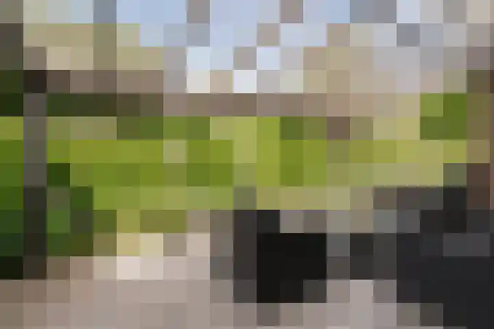Parkstraat 12 Maurik thumbnail 16