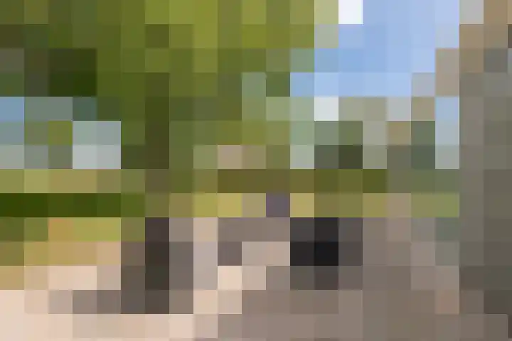 Parkstraat 12 Maurik thumbnail 43