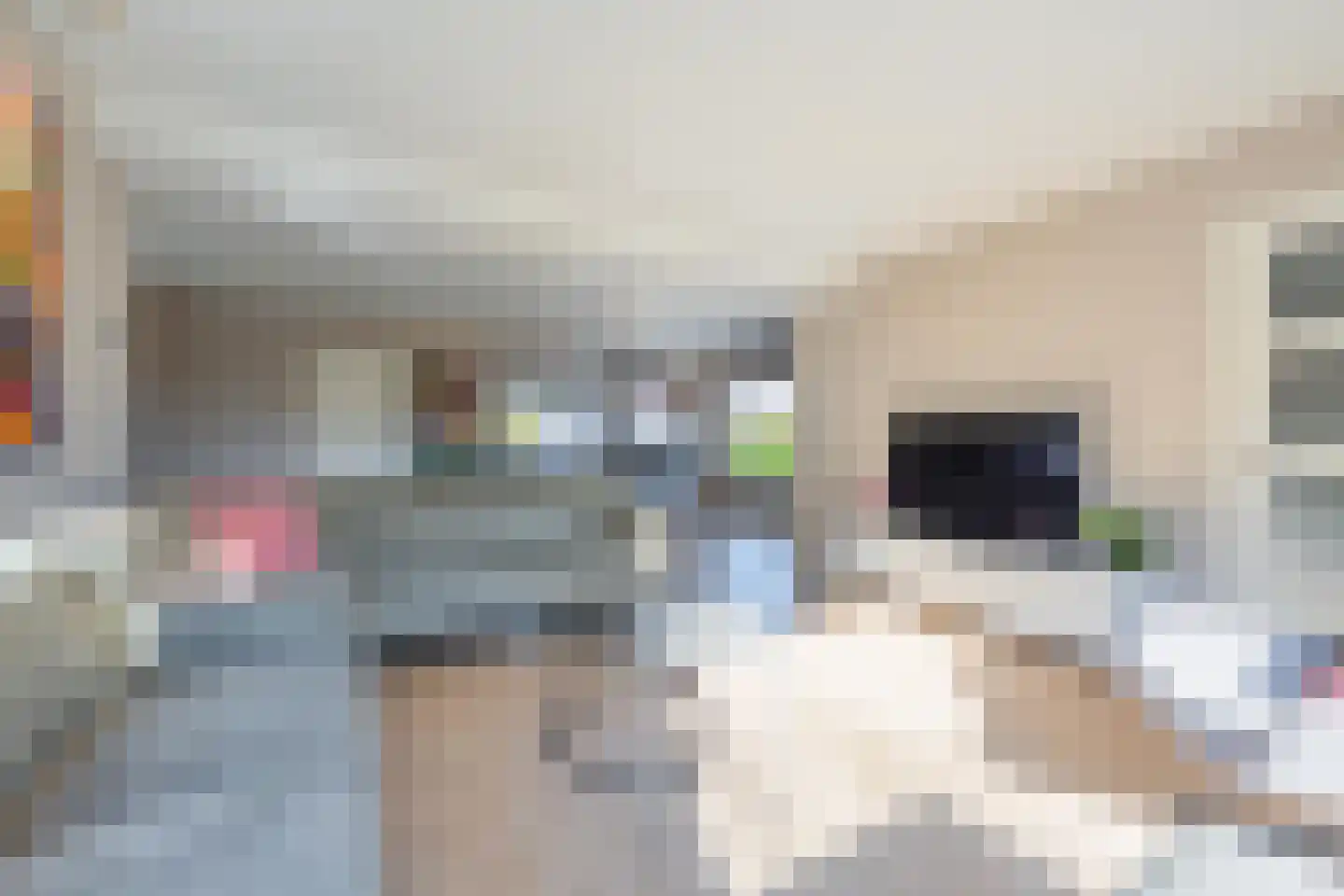 Parkstraat 13 Zoelen thumbnail 13