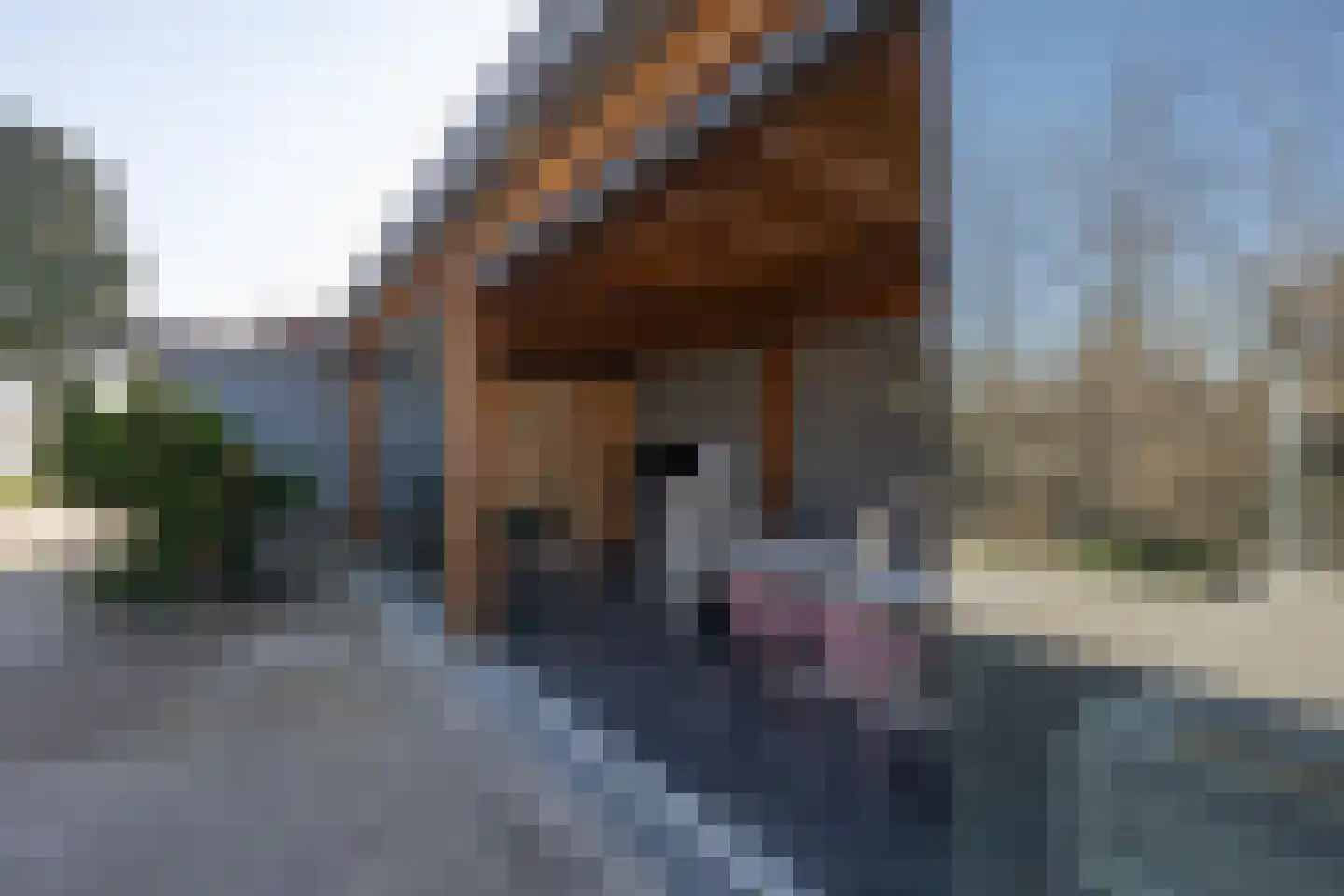 Parkstraat 13 Zoelen thumbnail 67