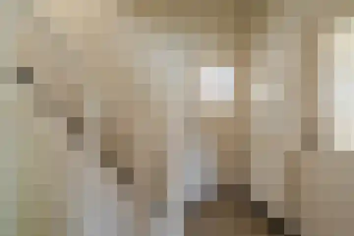 Parkstraat 135 Sappemeer thumbnail 11
