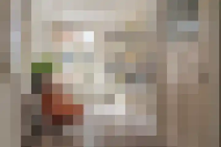 Parkstraat 135 Sappemeer thumbnail 15