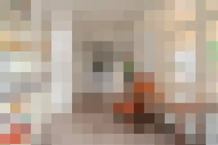 Parkstraat 135 Sappemeer thumbnail 17