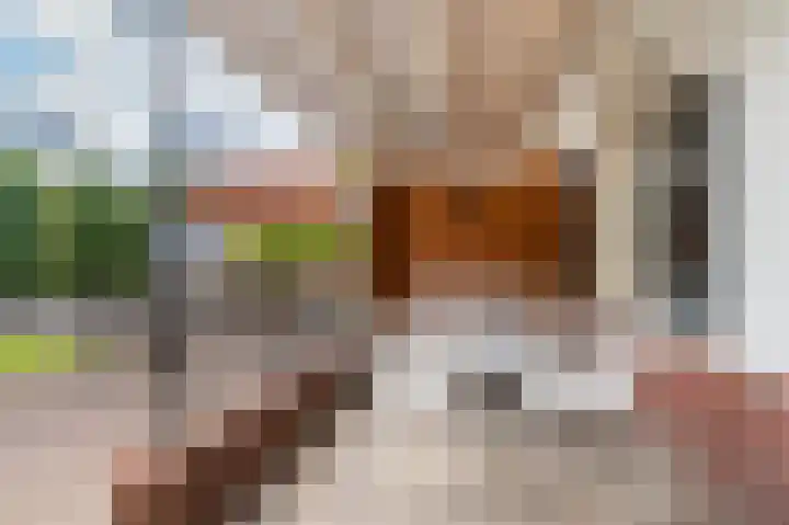 Parkstraat 135 Sappemeer thumbnail 36