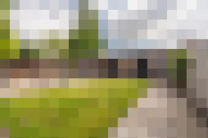 Parkstraat 135 Sappemeer thumbnail 38