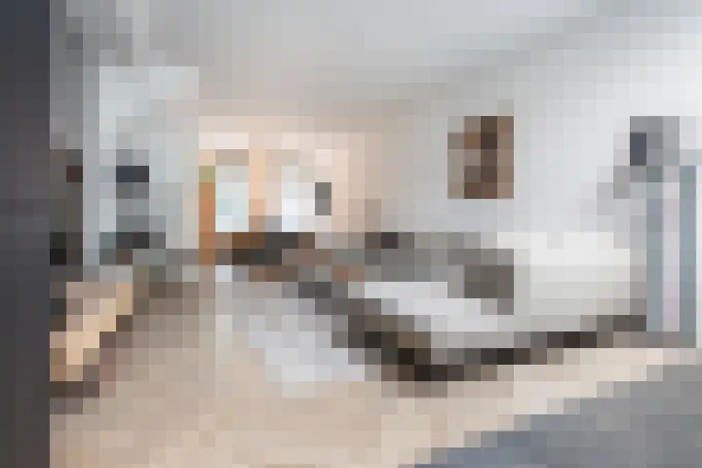 Parkstraat 14 Alkmaar thumbnail 11