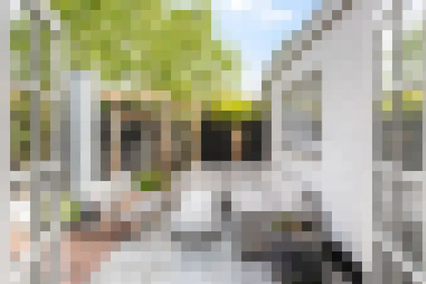 Parkstraat 14 Alkmaar thumbnail 45