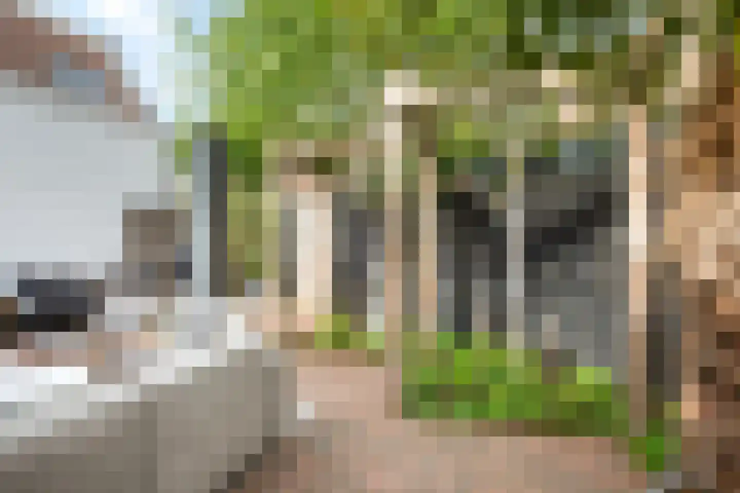 Parkstraat 14 Alkmaar thumbnail 52