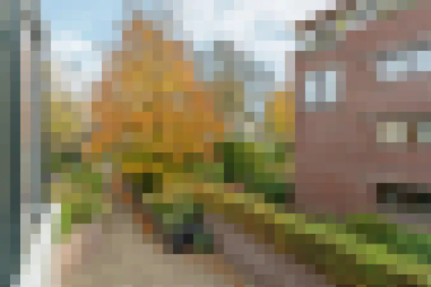 Parkstraat 15 Baarn thumbnail 14