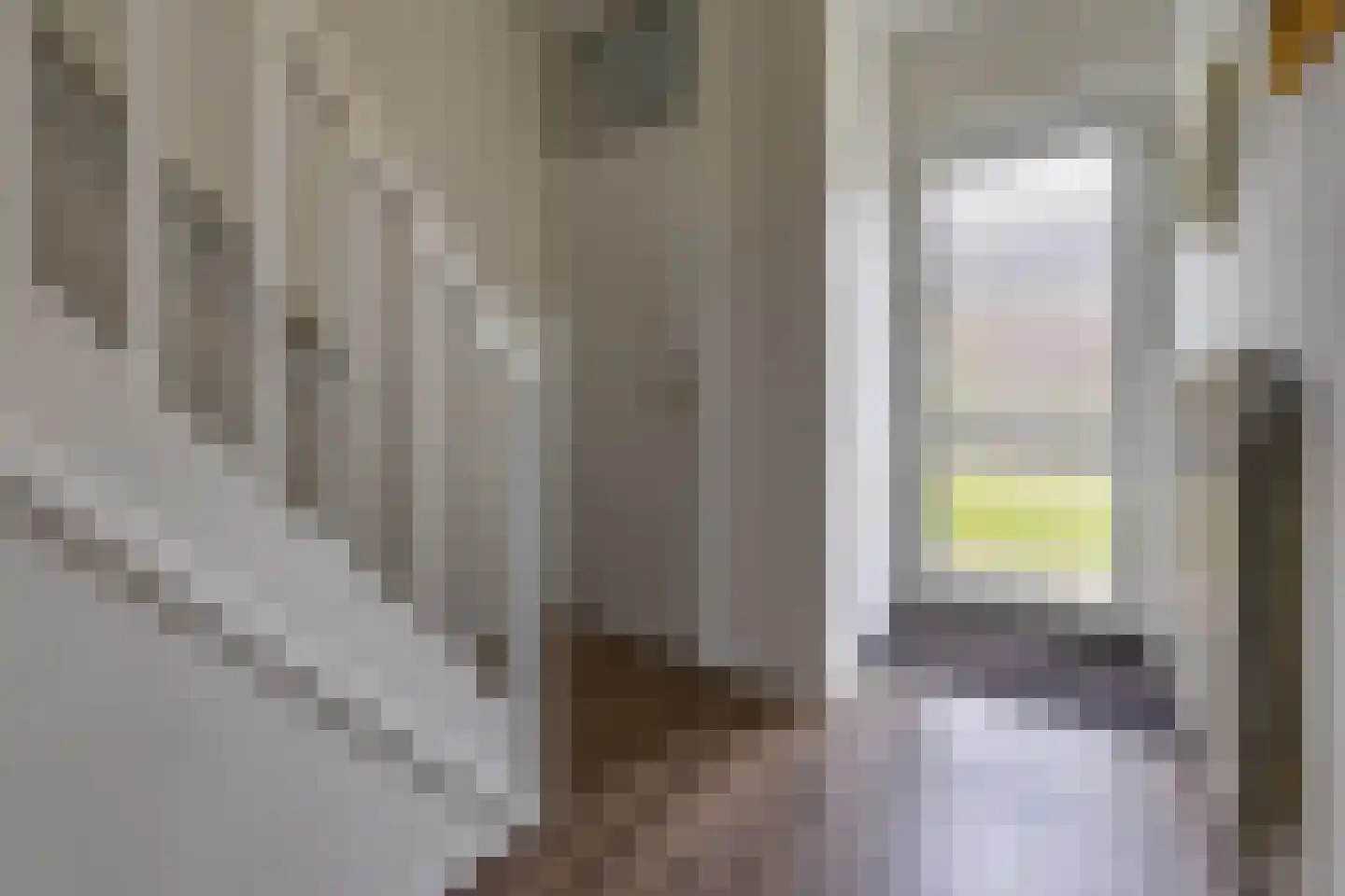 Parkstraat 17 Noordbroek thumbnail 13