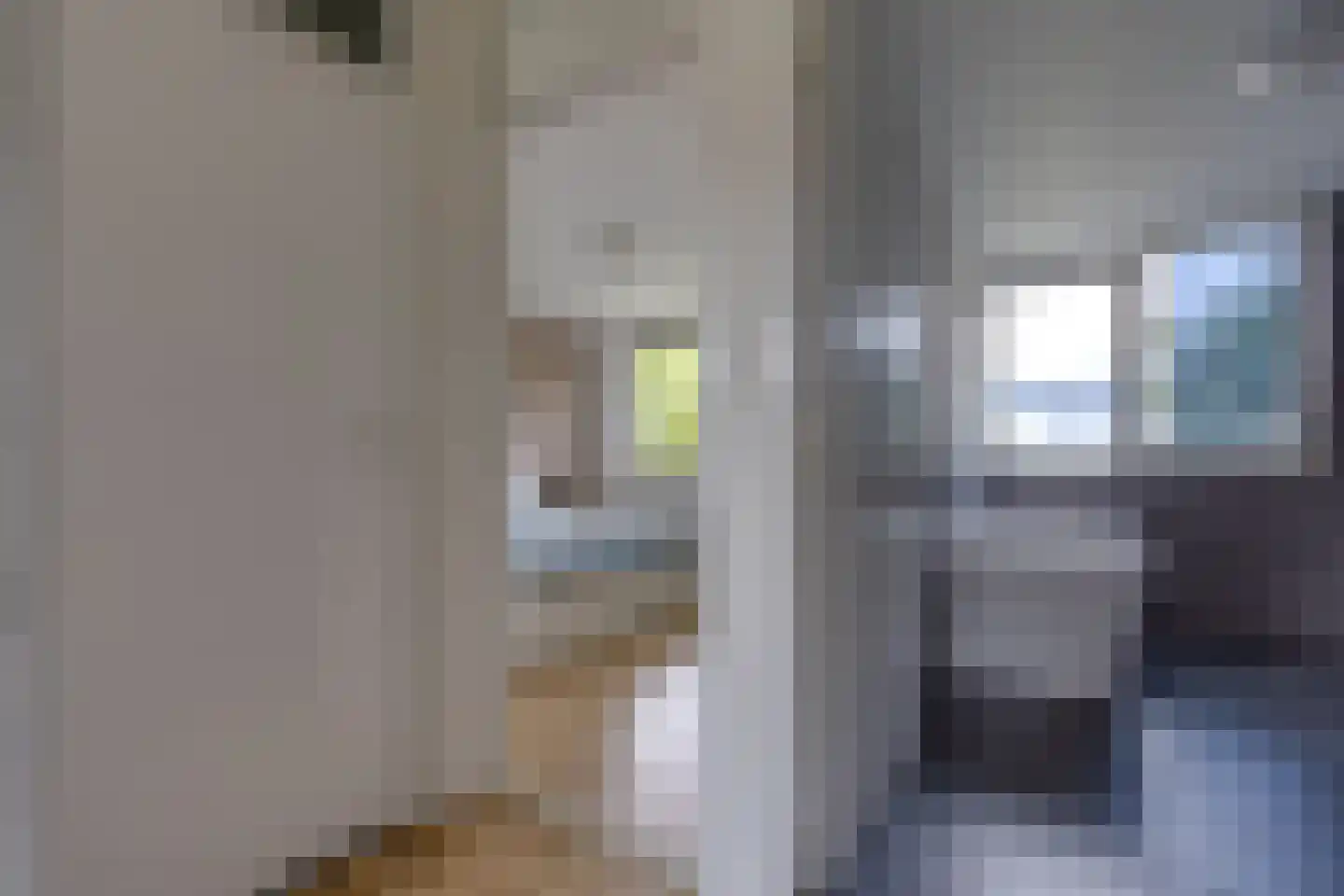 Parkstraat 17 Noordbroek thumbnail 17