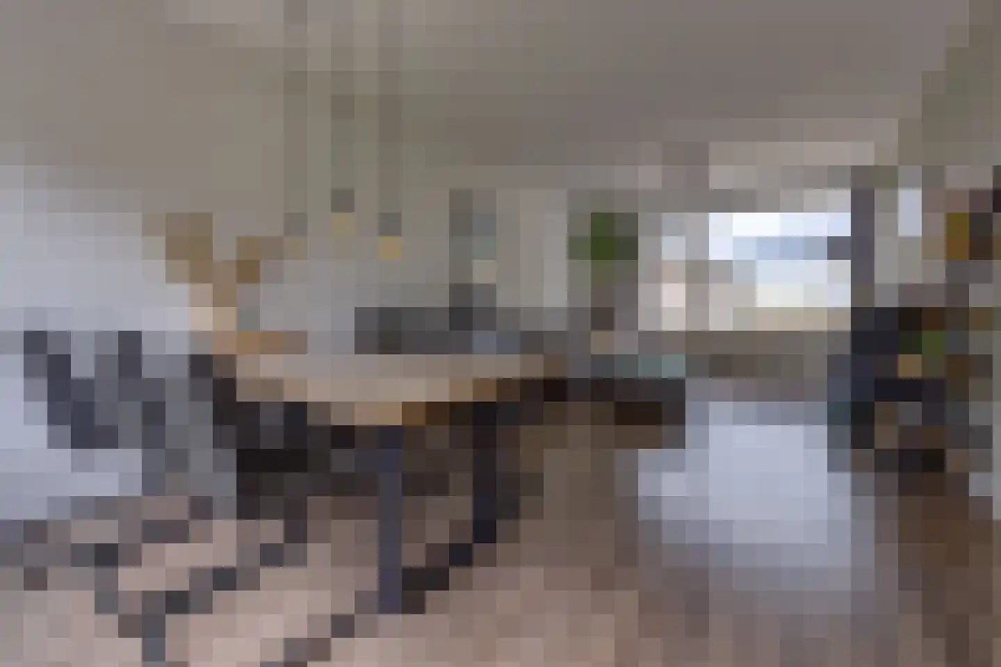Parkstraat 17 Noordbroek thumbnail 8