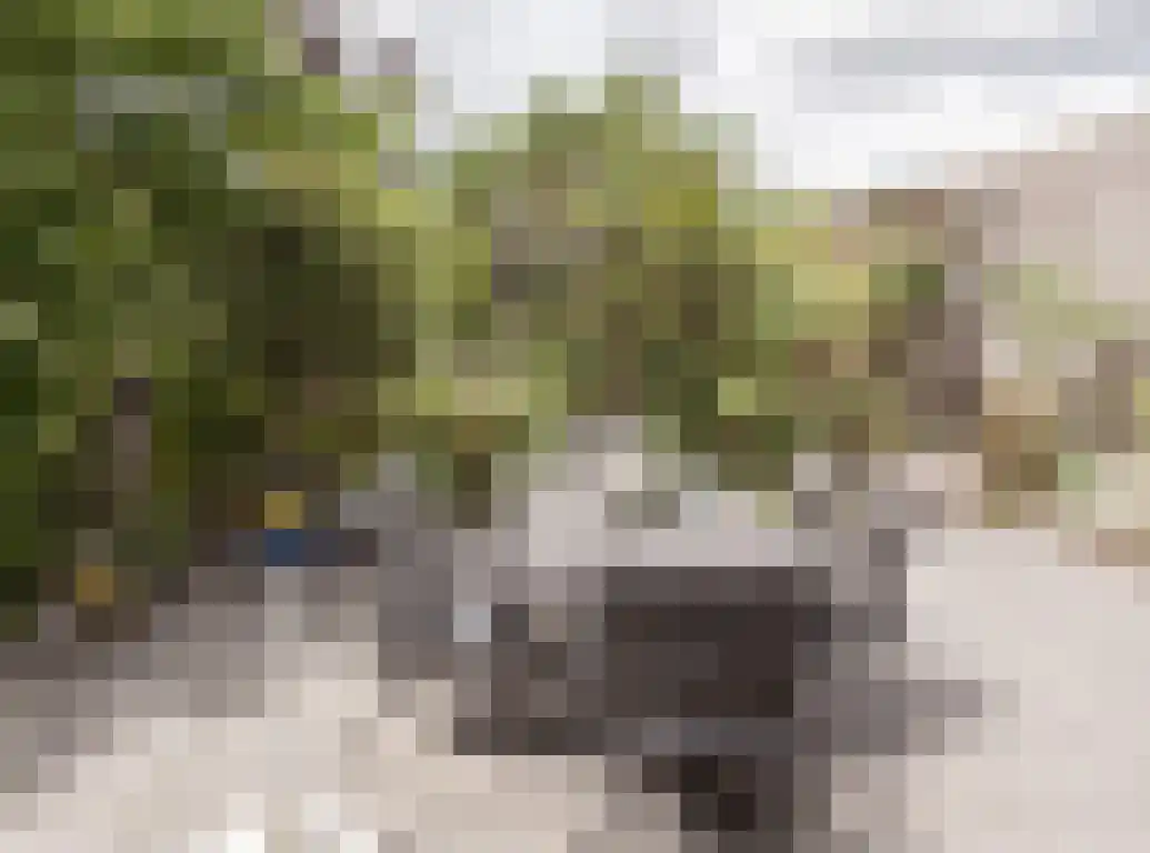 Parkstraat 18 St. Willebrord thumbnail 57
