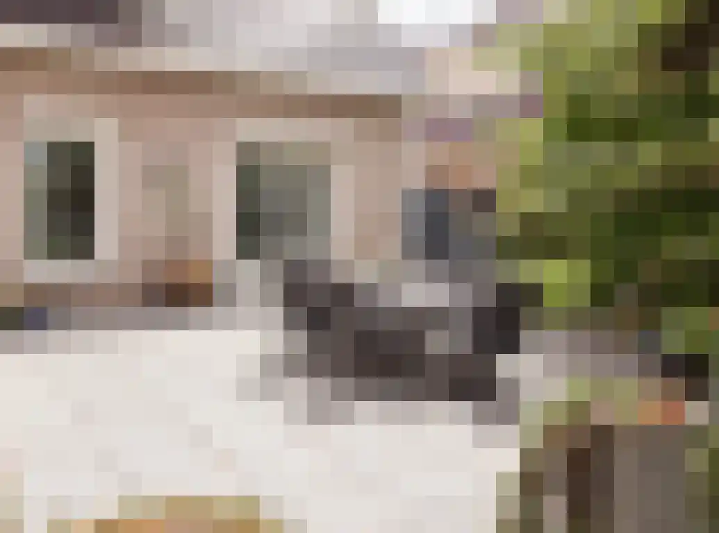 Parkstraat 18 St. Willebrord thumbnail 58