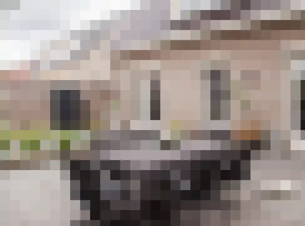 Parkstraat 18 St. Willebrord thumbnail 59