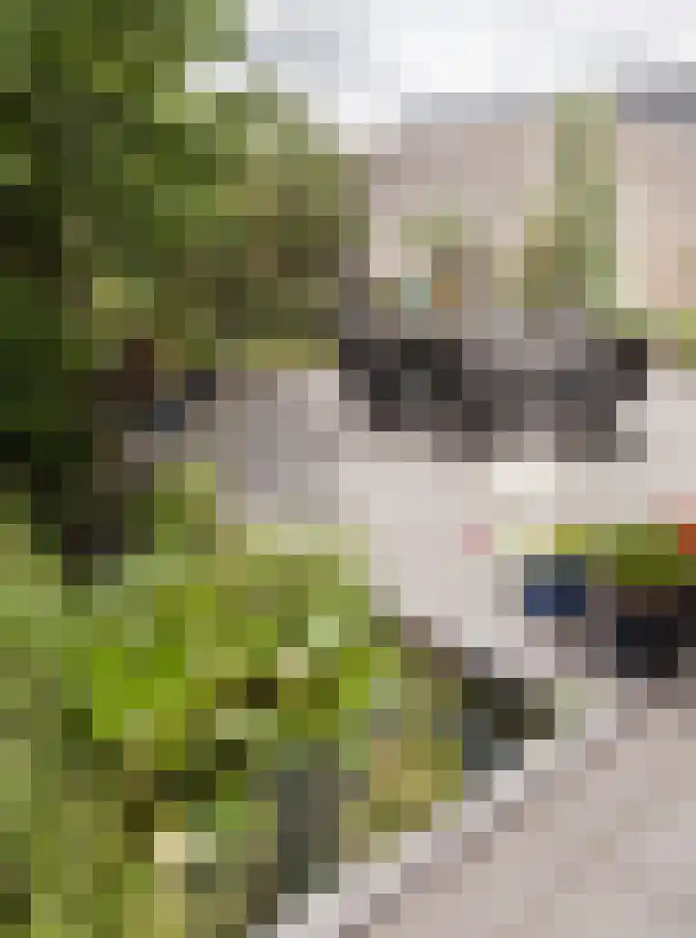Parkstraat 18 St. Willebrord thumbnail 62
