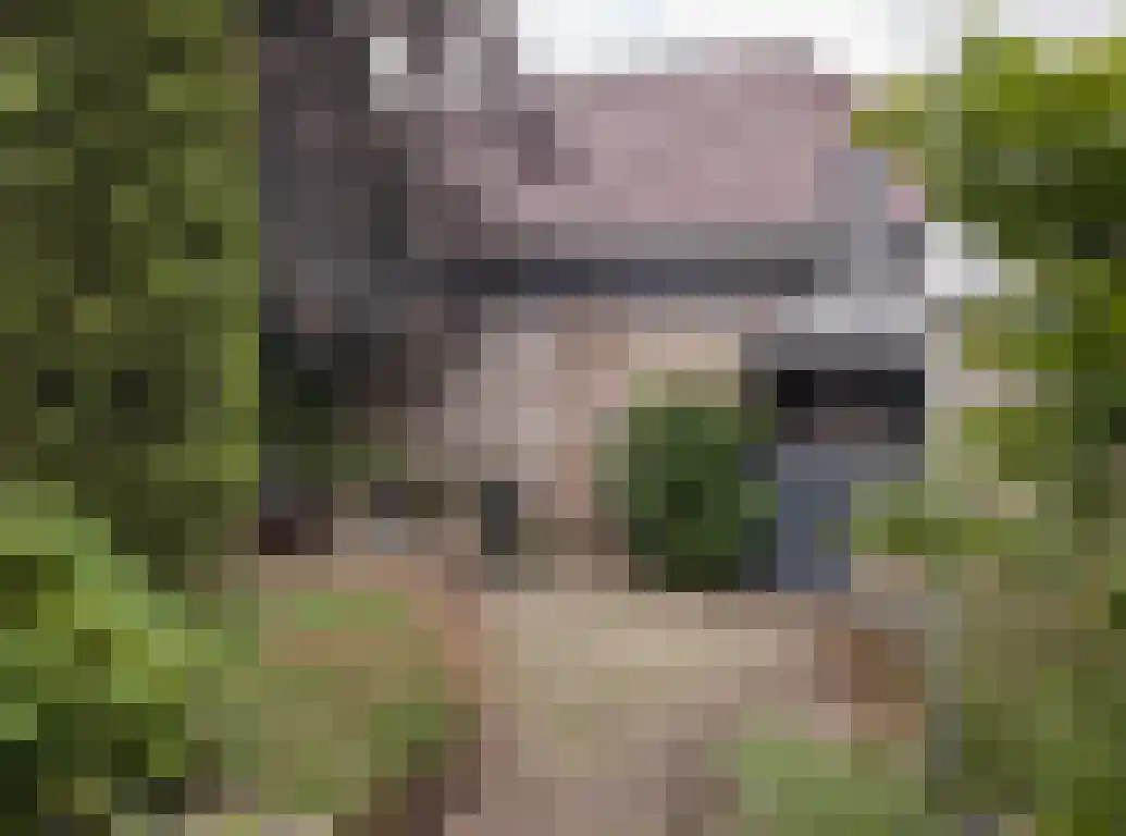 Parkstraat 18 St. Willebrord thumbnail 66