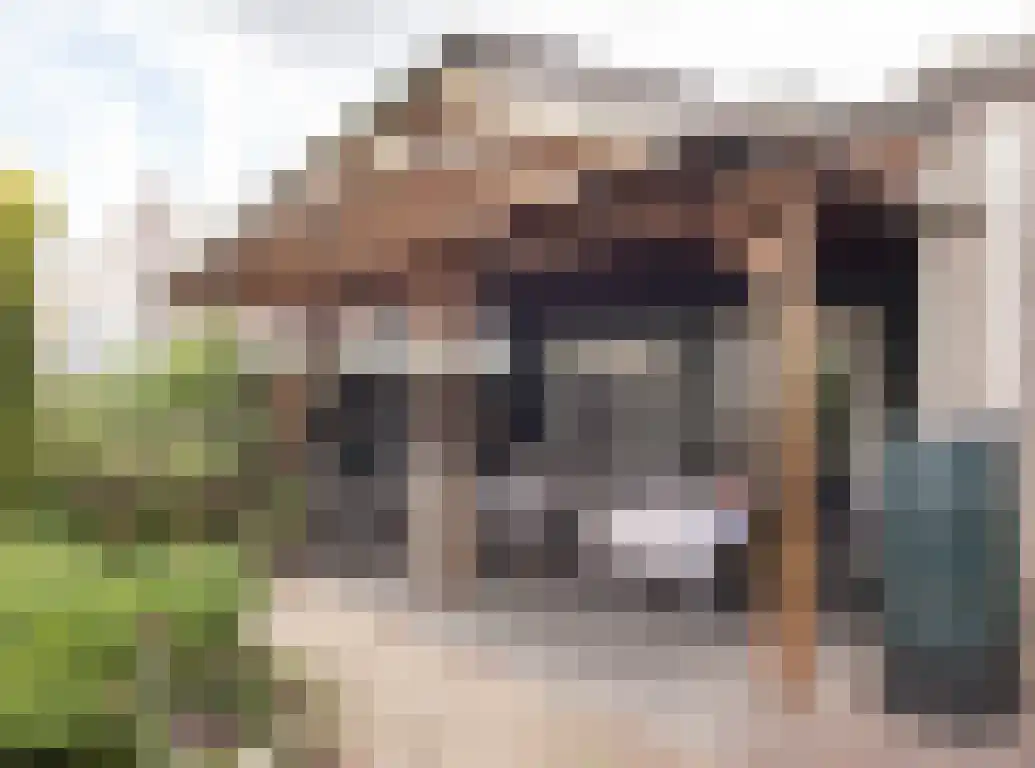 Parkstraat 18 St. Willebrord thumbnail 69