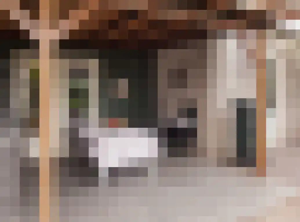 Parkstraat 18 St. Willebrord thumbnail 71
