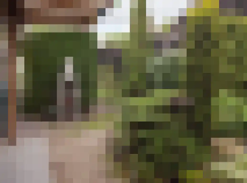 Parkstraat 18 St. Willebrord thumbnail 73